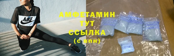 прущие грибы Богородицк