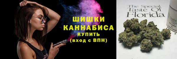 прущие грибы Богородицк