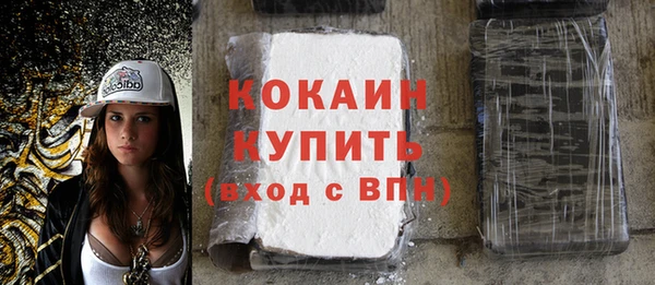 прущие грибы Богородицк
