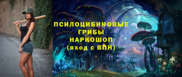 прущие грибы Богородицк