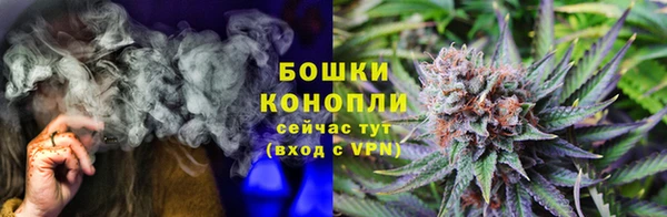 прущие грибы Богородицк